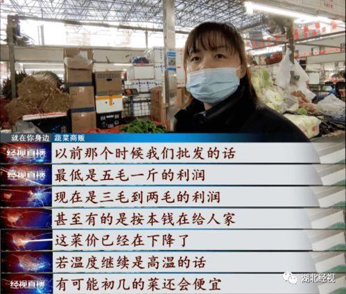 武汉菜价爆料视频,最新爆料视频揭示市场动态